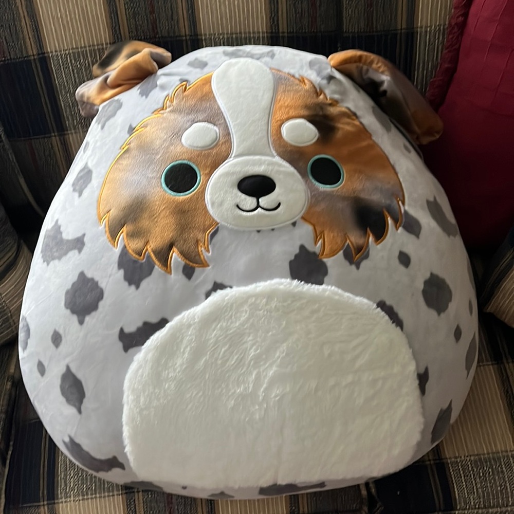 16 inch Raylor Squishmallow